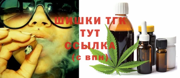 дмт Алексин