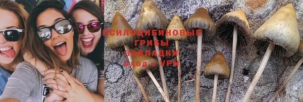 мет Алексеевка
