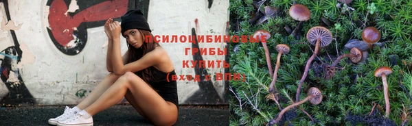 меф Алзамай