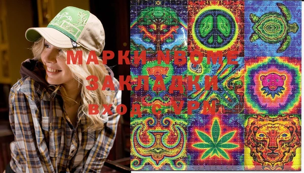 дмт Алексин